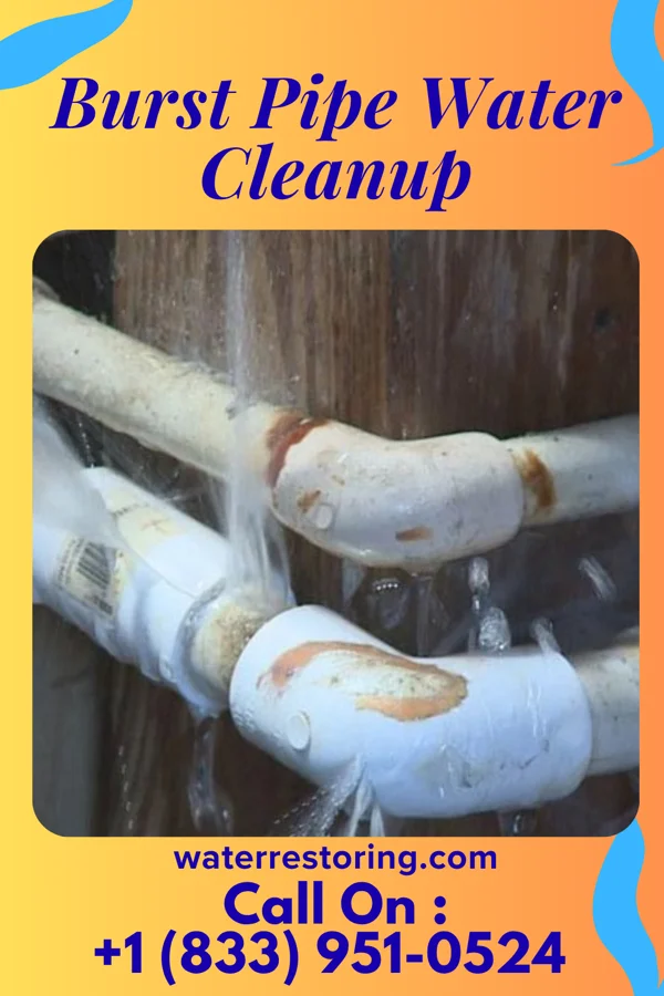 Burst Pipe Water Cleanup in Houston Acres, KY