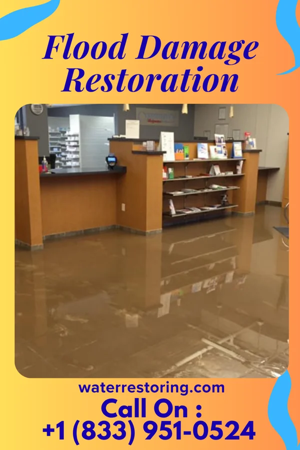 Flood Damage Restoration in Houston Acres, KY