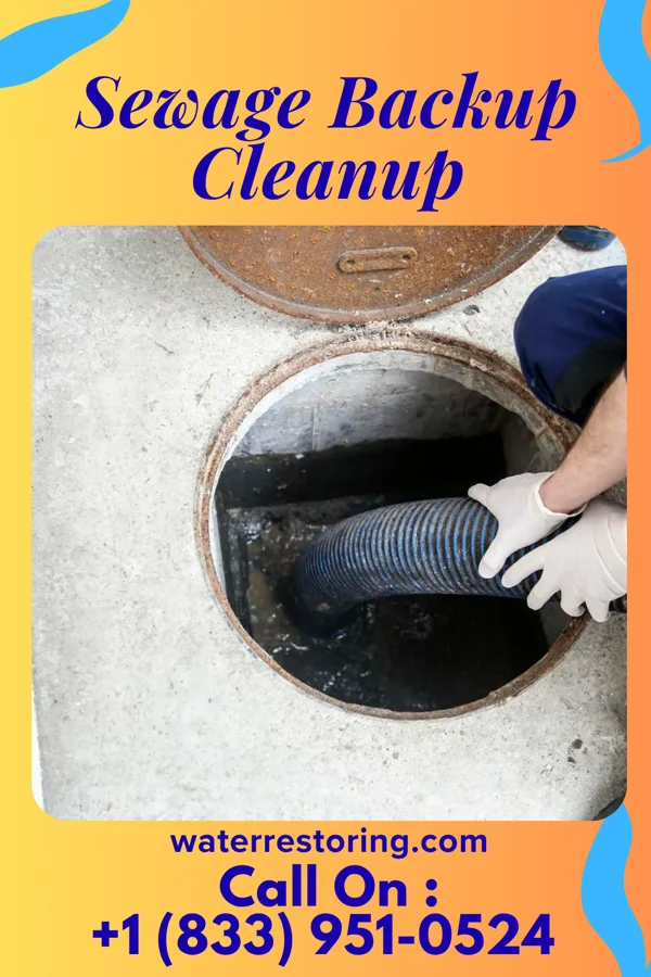 Sewage Backup Cleanup in Houston Acres, KY